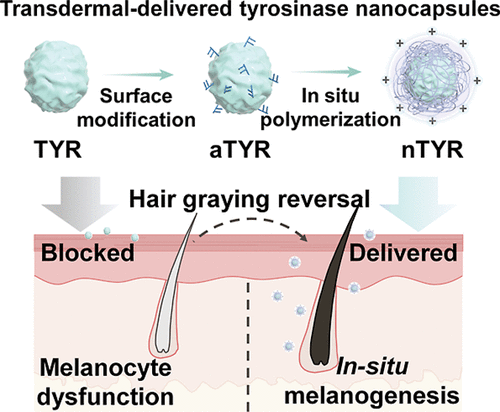 nn5c21788_0009.gif